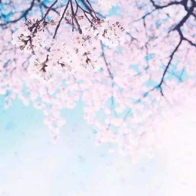 战舰攻击游戏下载