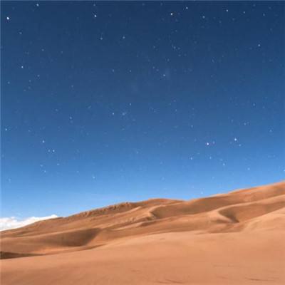 爱丽丝快跑5.0破解版下载