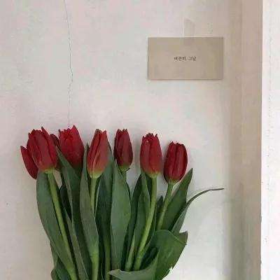 乐嗨玩游戏app下载